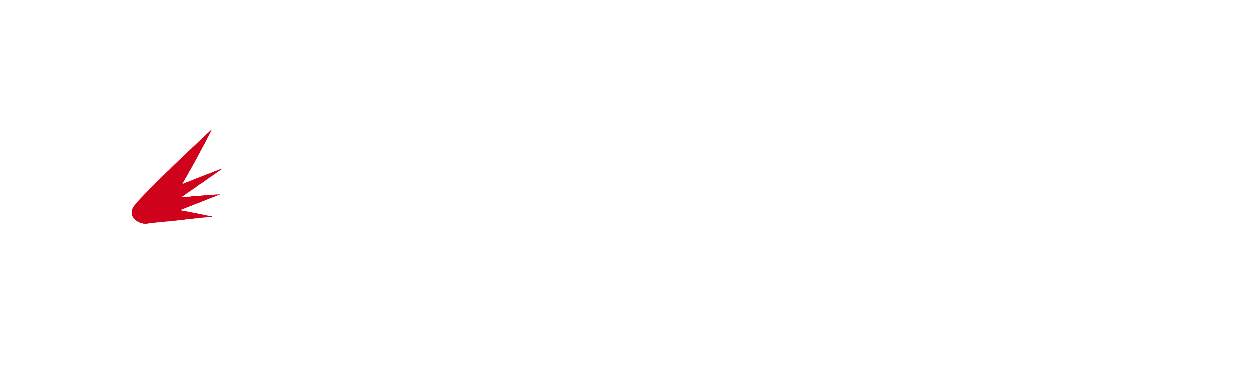 Net Core Genesis Logo